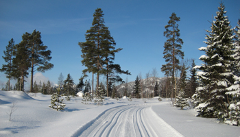 Cross Country Skiing Cross Country Skiing