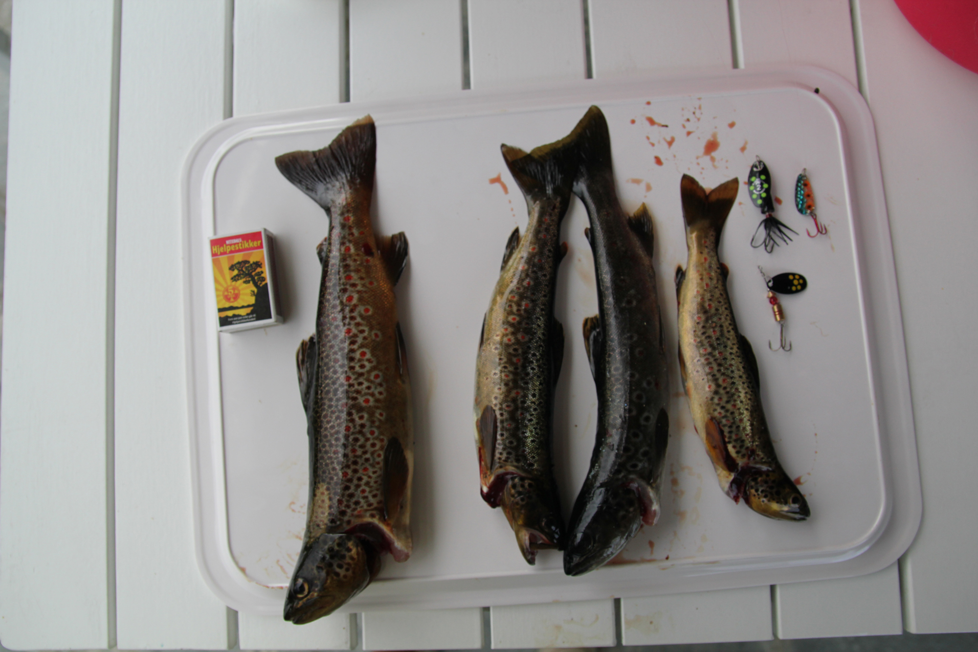 Fisketur på Nisser Fisketur på Nisser